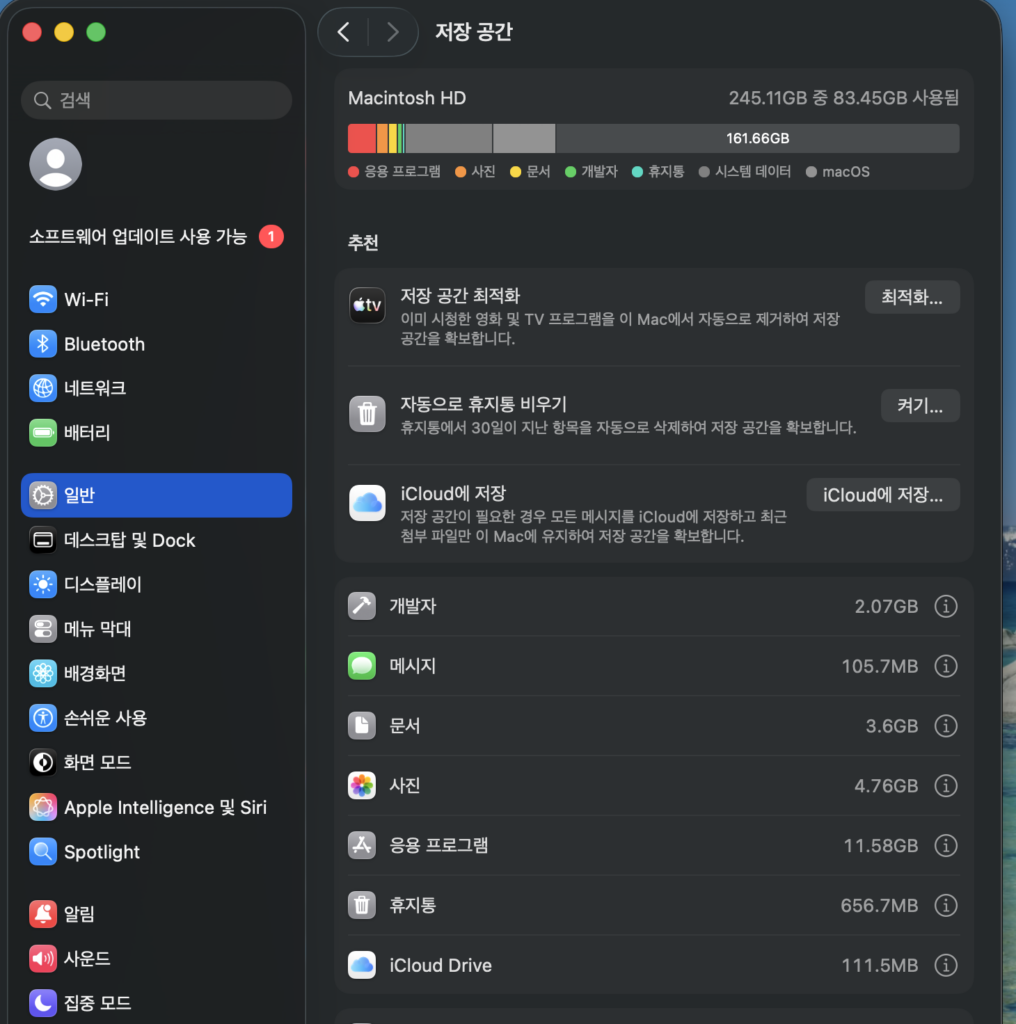 맥북 정리 후 사용량 83.45GB와 남은 저장공간 161.66GB